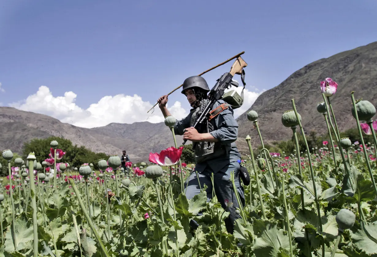 Afghanistan Taliban Opium