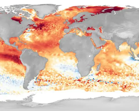 What is a strong El Niño? Meteorologists anticipate a big impact in winter 2023, but the forecasts don't all agree