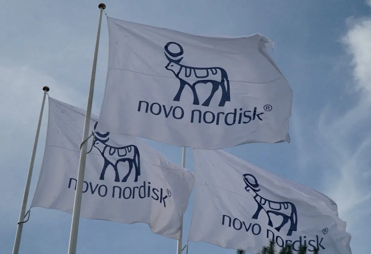 FILE PHOTO: Flags with the Novo Nordisk logo flutter outside their Danish company's offices in Copenhagen