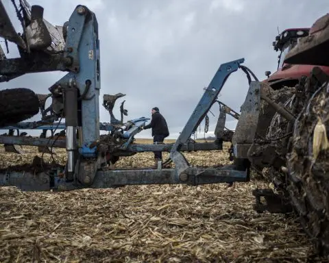 Ukraine has a new way to get its grain to the world despite Russia's threat in the Black Sea