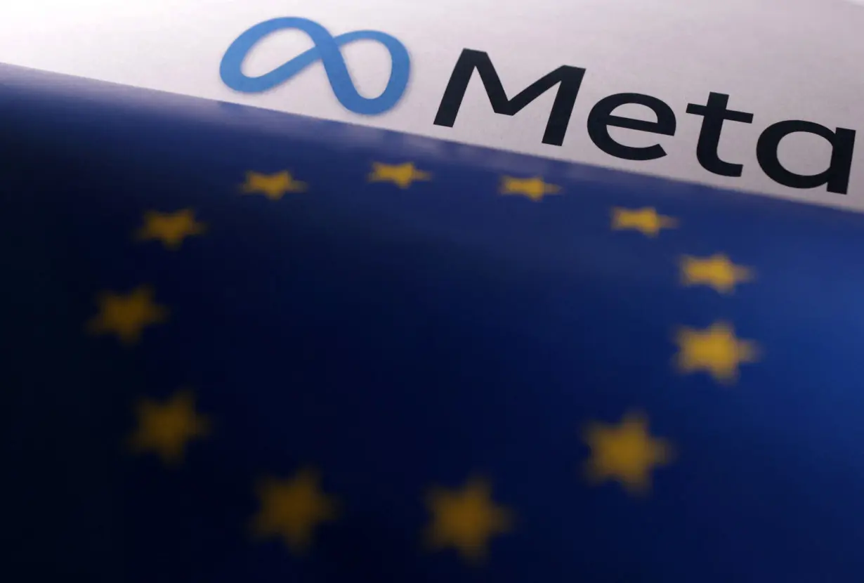 FILE PHOTO: Illustration shows EU flag and Meta logo