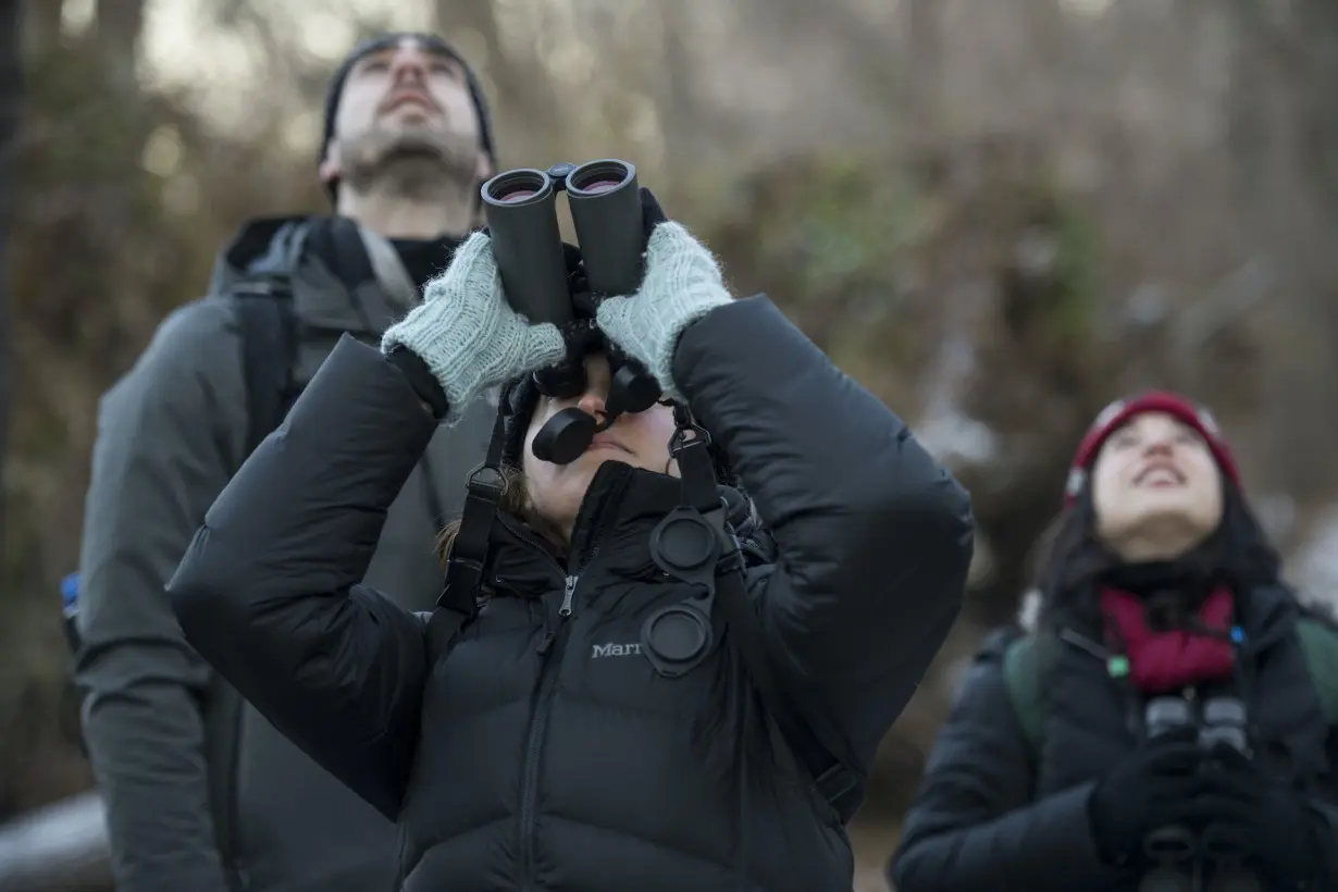 Why dozens of North American bird species are getting new names: Every name tells a story