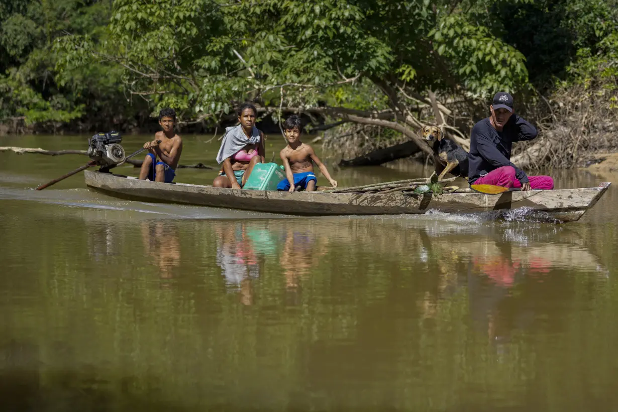 Brazil lawsuits allege direct relationship between meatpackers, deforesters on protected land