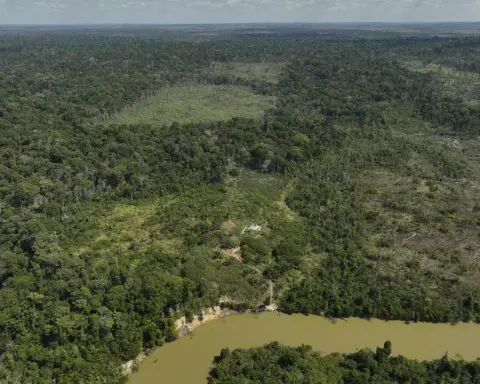 Takeaways from lawsuits accusing meat giant JBS, others of contributing to Amazon deforestation