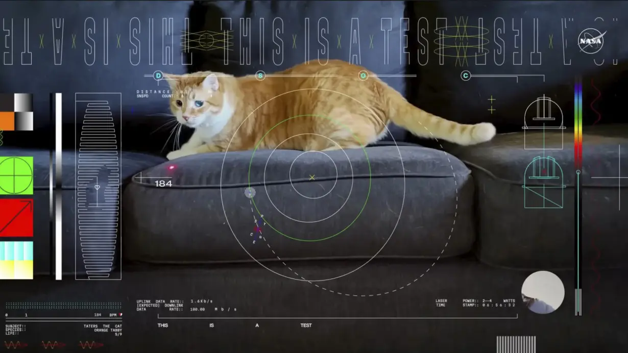 NASA Laser Demo Cat