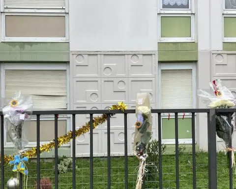 4 young children and their mother were killed in their French home. The father is in custody