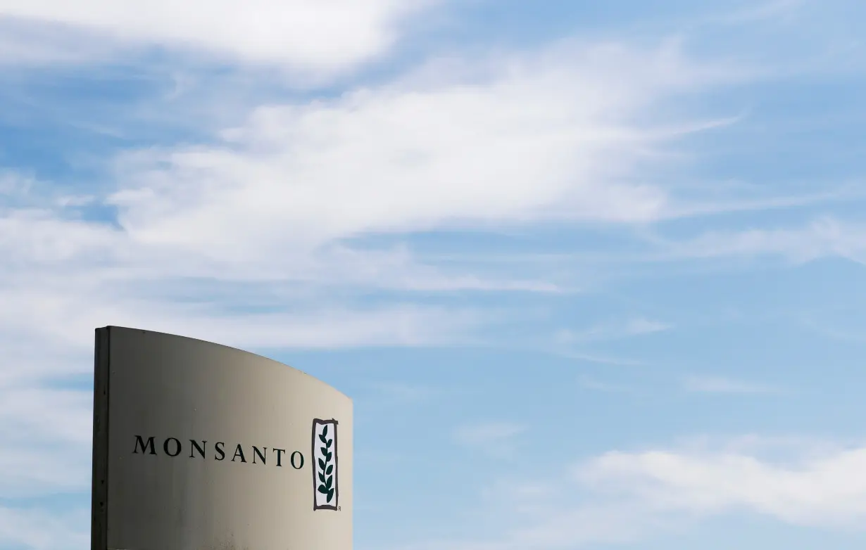 FILE PHOTO: The logo of Monsanto is seen at the Monsanto factory in Peyrehorade