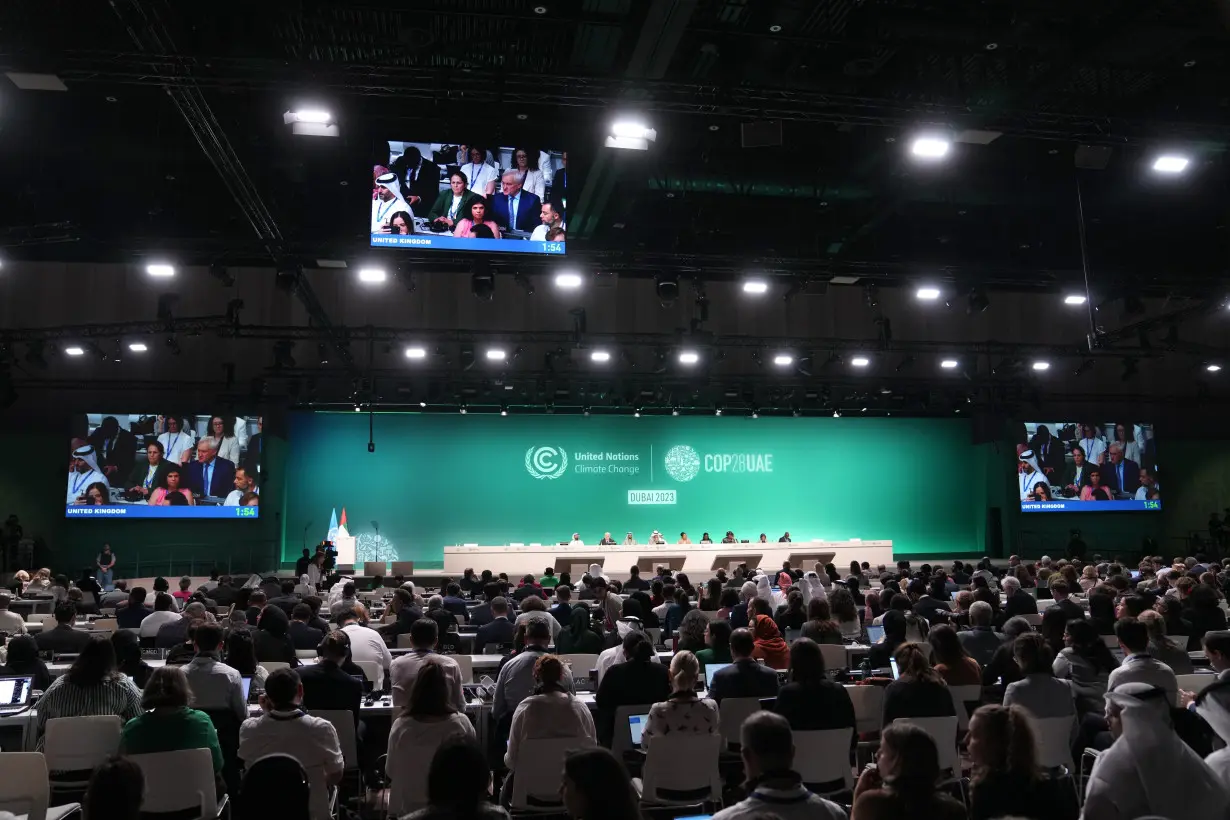 Heard at UN climate talks: Quotes that tell the story