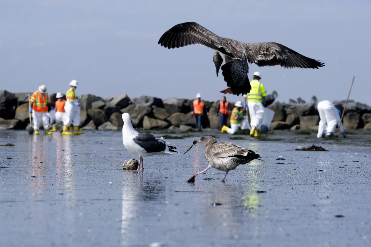 California Oil Spill