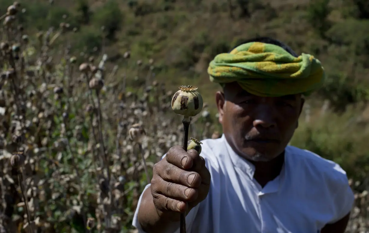War-wracked Myanmar is now the world's top opium producer, surpassing Afghanistan, says UN agency