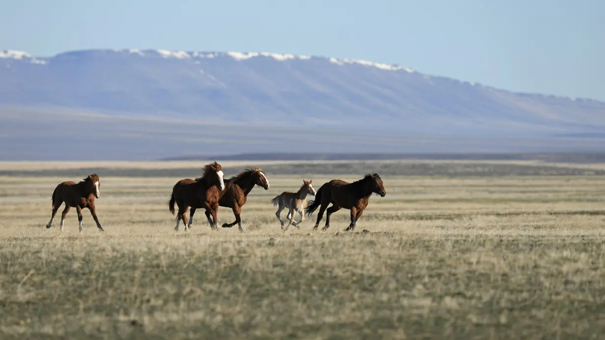 Nevada tribe says coalitions, not lawsuits, will protect sacred sites as US advances energy agenda