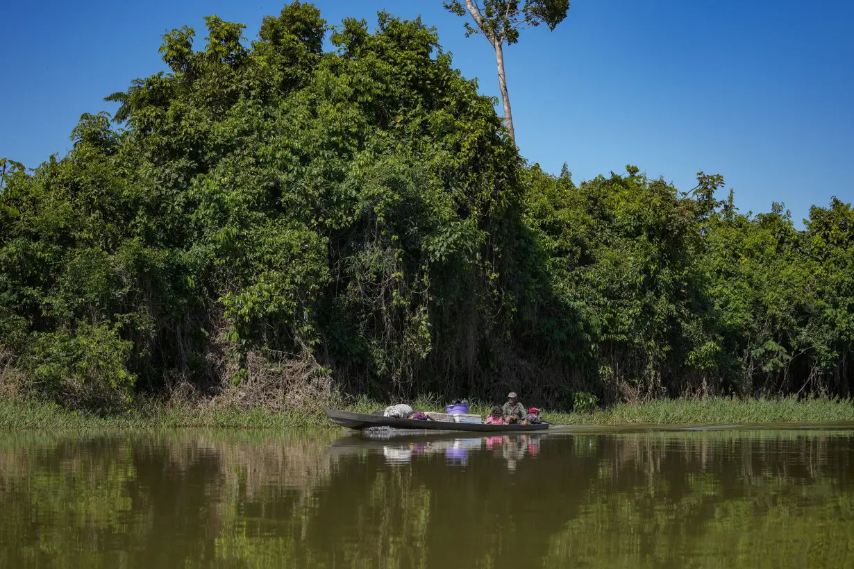 Brazil lawsuits allege direct relationship between meatpackers, deforesters on protected land