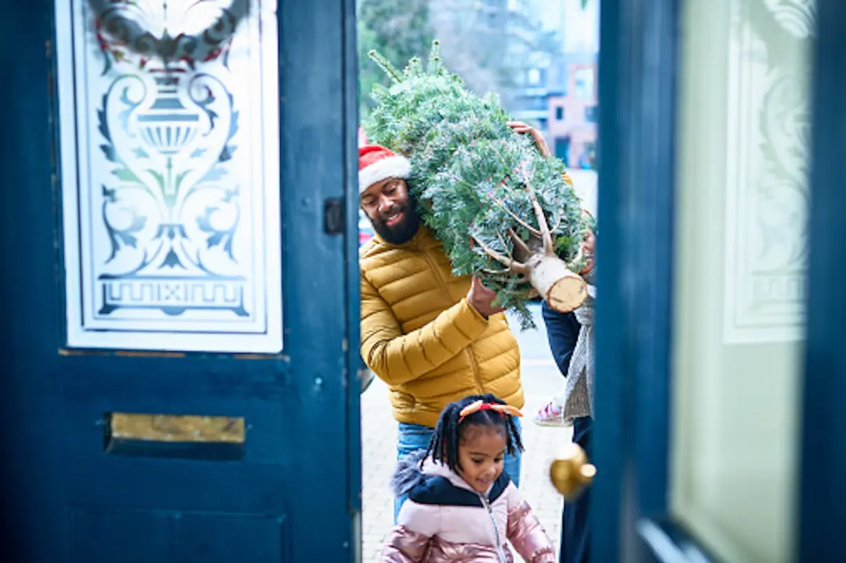 Real or artificial? A forestry scientist explains how to choose the most sustainable Christmas tree, no matter what it's made of