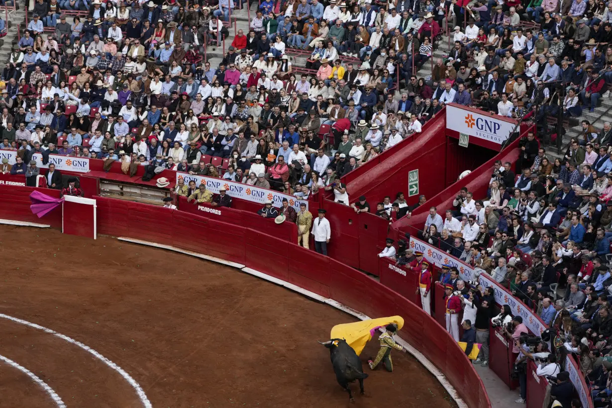 Mexico Bullfighting