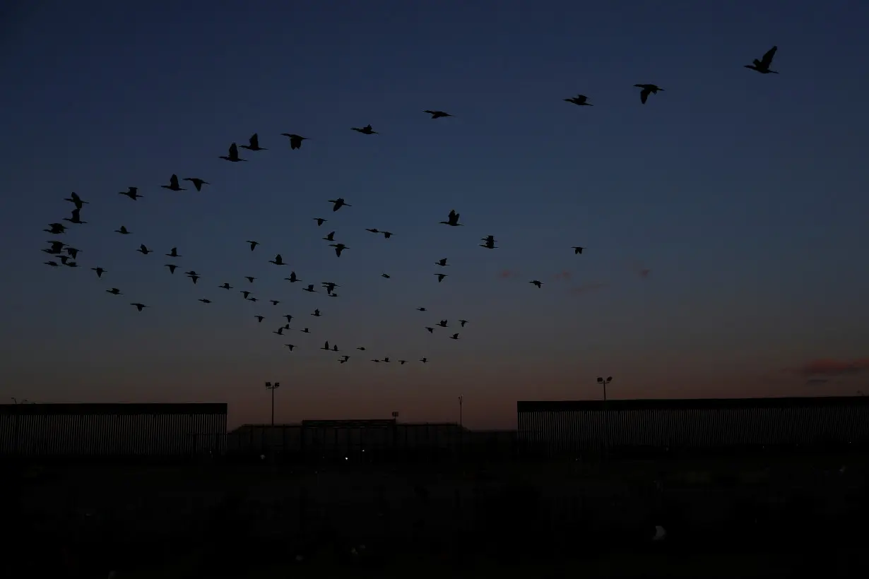 Birds fly near the border wall, on the border between Mexico and the US during a day of low temperatures, as seen from Ciudad Juarez