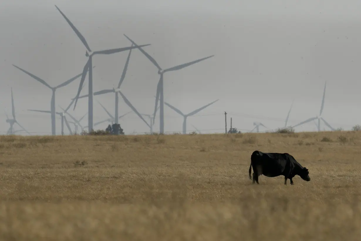 Billionaire backers of new California city seek voter approval after stealthily snapping up farmland