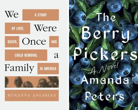 Roxanna Asgarian's 'We Were Once a Family' and Amanda Peters' 'The Berry Pickers' win library medals