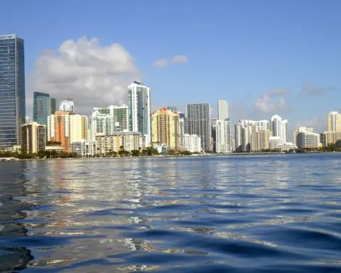 Miami residents believe Biscayne Bay is 'healthy,' despite big declines in water quality and biodiversity, new study finds