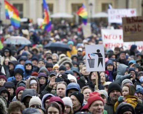 Demonstrations against the far right held in Germany following a report on a deportation meeting