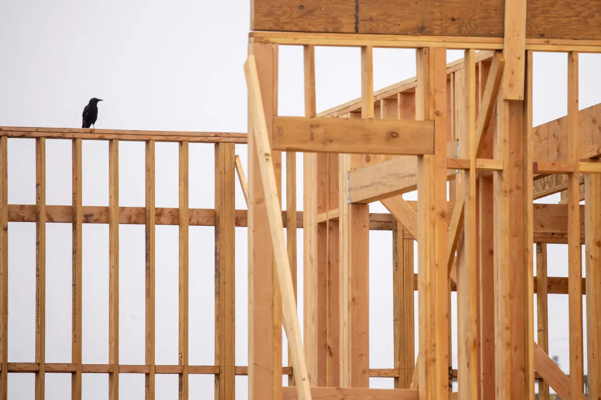 A crow sits on wood framing at a commercial construction project during the outbreak of the coronavirus disease in California