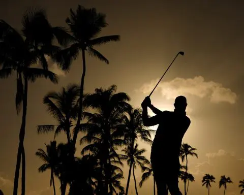 Oahu Musings: The debate over full fields and signature events. Cink can speak from experience