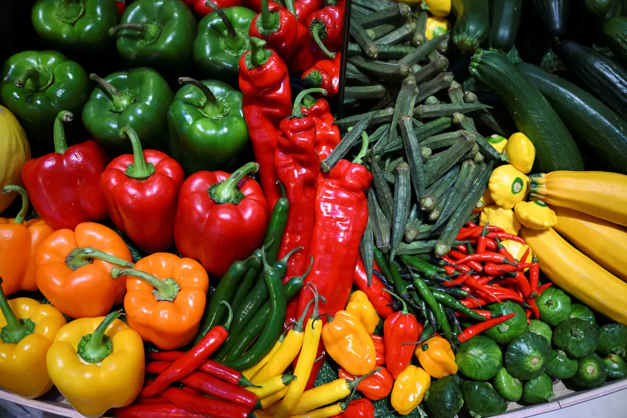 FILE PHOTO: International Green Week agriculture fair opens in Berlin