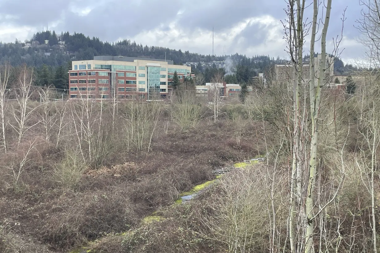 Oregon Emergency Landing