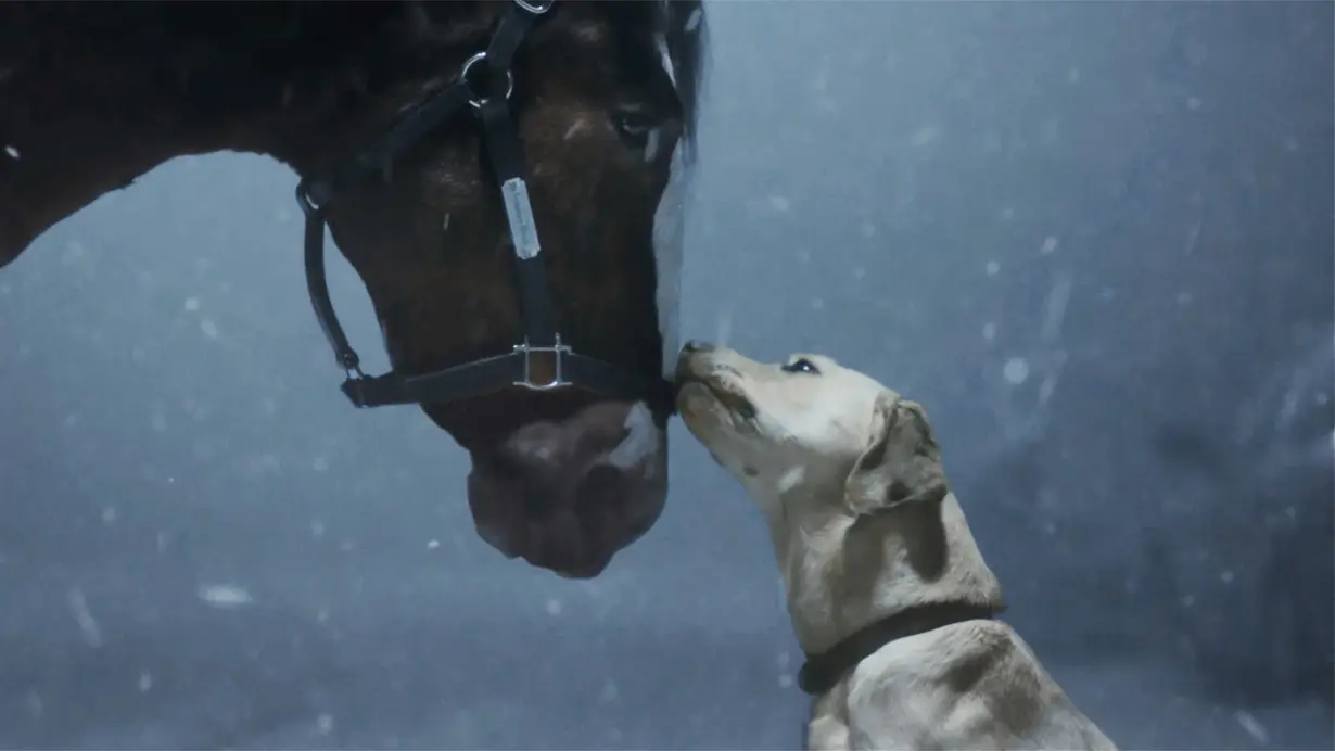 Bud brings back Clydesdales as early Super Bowl ad releases offer up nostalgia, humor, celebrities