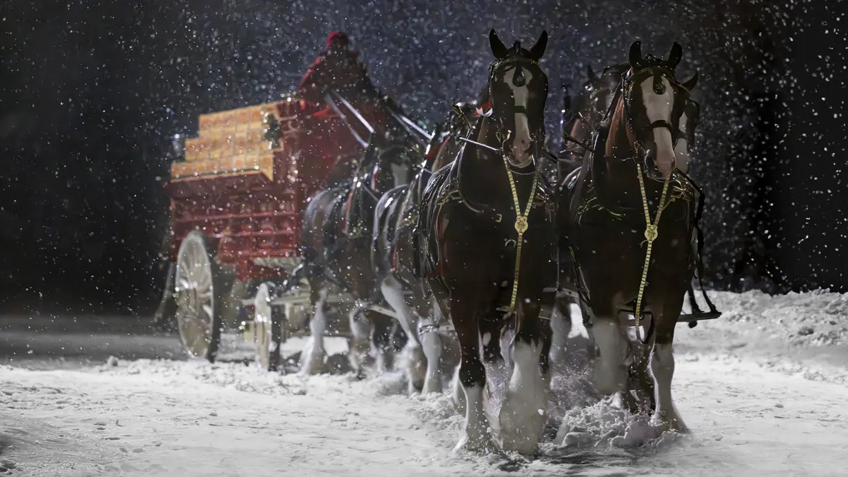 Bud brings back Clydesdales as early Super Bowl ad releases offer up nostalgia, humor, celebrities