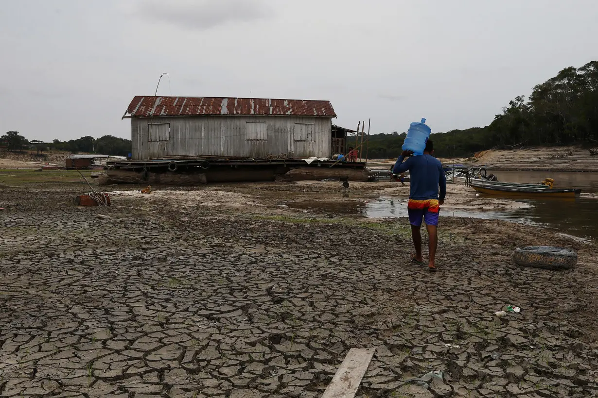 Global warming was primary cause of unprecedented Amazon drought, study finds