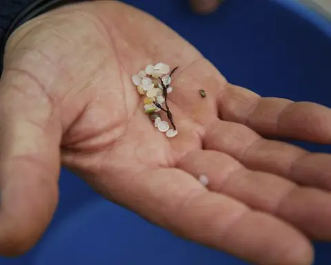 Spain investigates contamination of Atlantic shore by countless plastic pellets spilled from ship