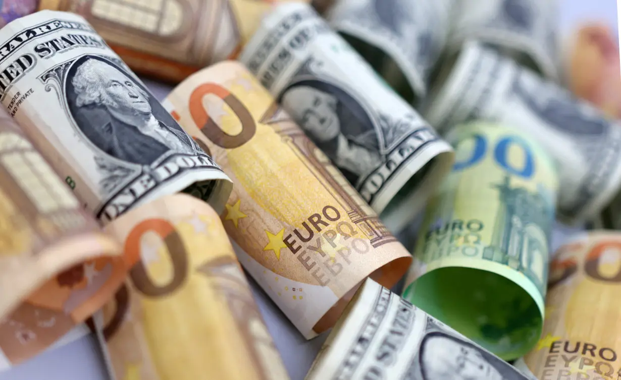 FILE PHOTO: Illustration shows U.S. Dollar and Euro banknotes