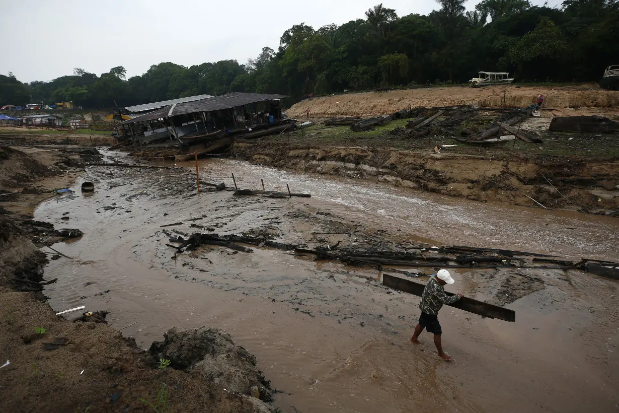 Global warming was primary cause of unprecedented Amazon drought, study finds