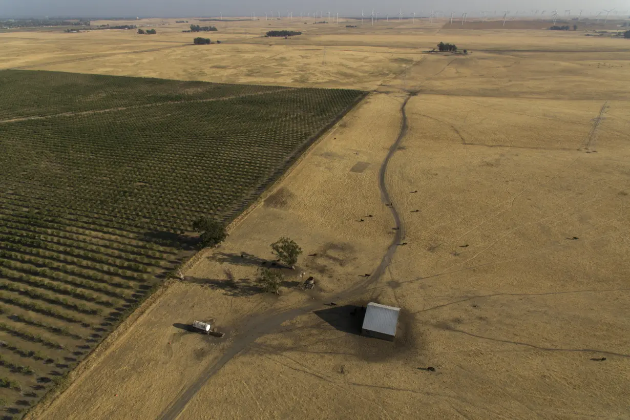 Billionaire backers of new California city seek voter approval after stealthily snapping up farmland