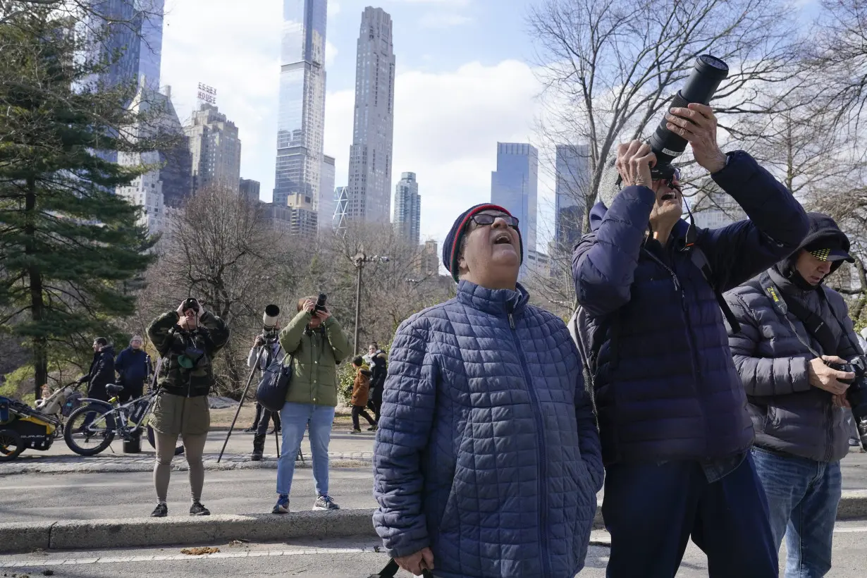 Who freed Flaco? One year later, eagle-owl's escape from Central Park Zoo remains a mystery