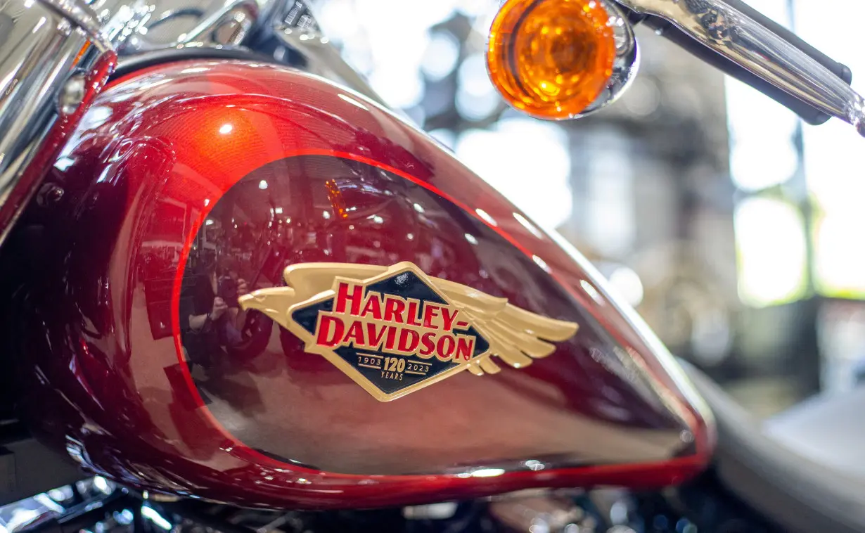 FILE PHOTO: Female Harley-Davidson riders before the company's 120th anniversary celebrations in Hamburg