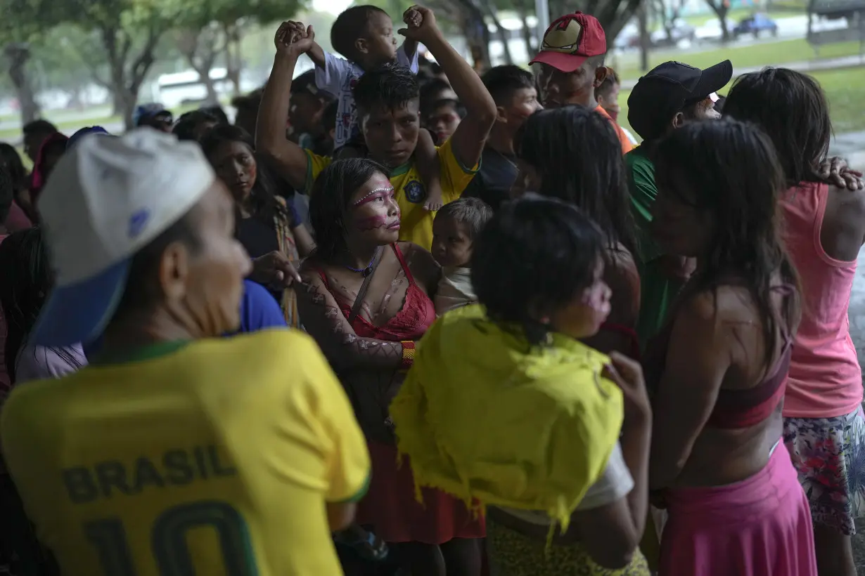 Rio's Carnival parade makes urgent plea to stop illegal mining in Indigenous lands
