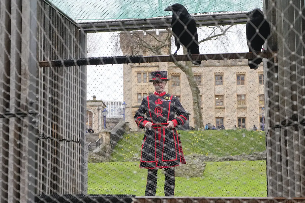 The Tower of London's new ravenmaster takes charge of the landmark's iconic flock