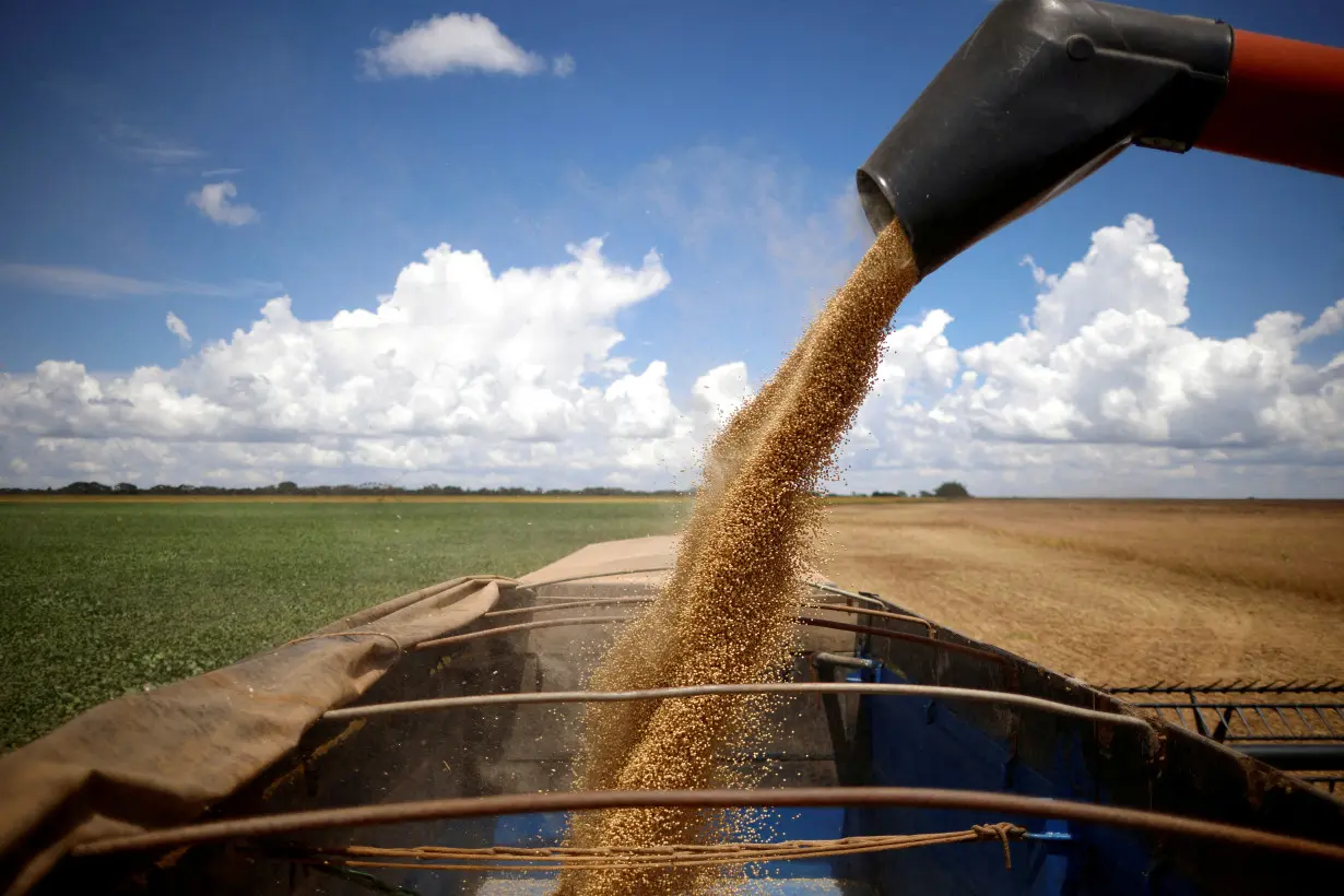 FILE PHOTO: Soybeans are harvested at a farm in Luziania, state of Goias