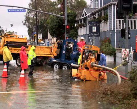 Explainer-California rains: good for drought, fuel for wildfires