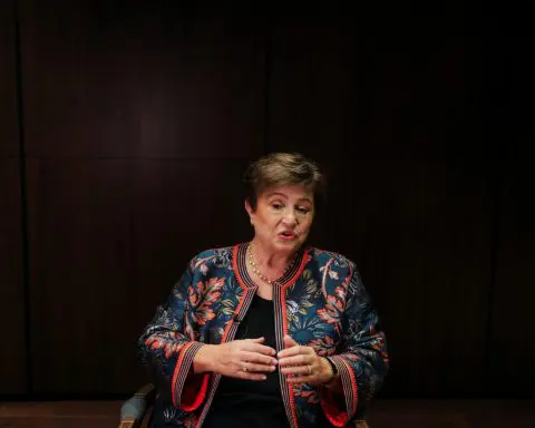 IMF chief Georgieva says focused on job at hand, not future role