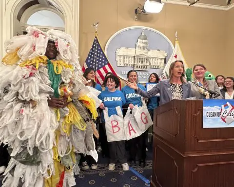 California bill would ban all plastic shopping bags at grocery stores