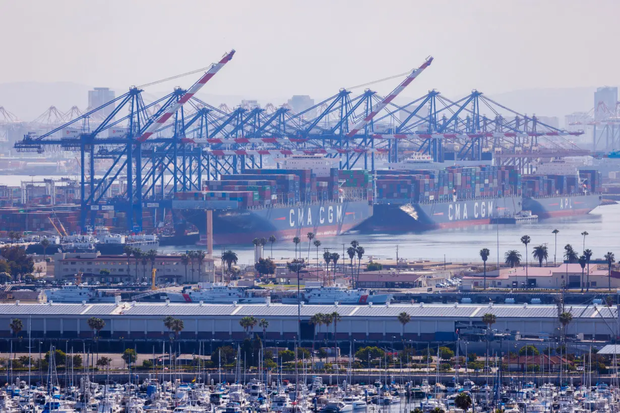 Containships are shown at the Port of Los Angeles