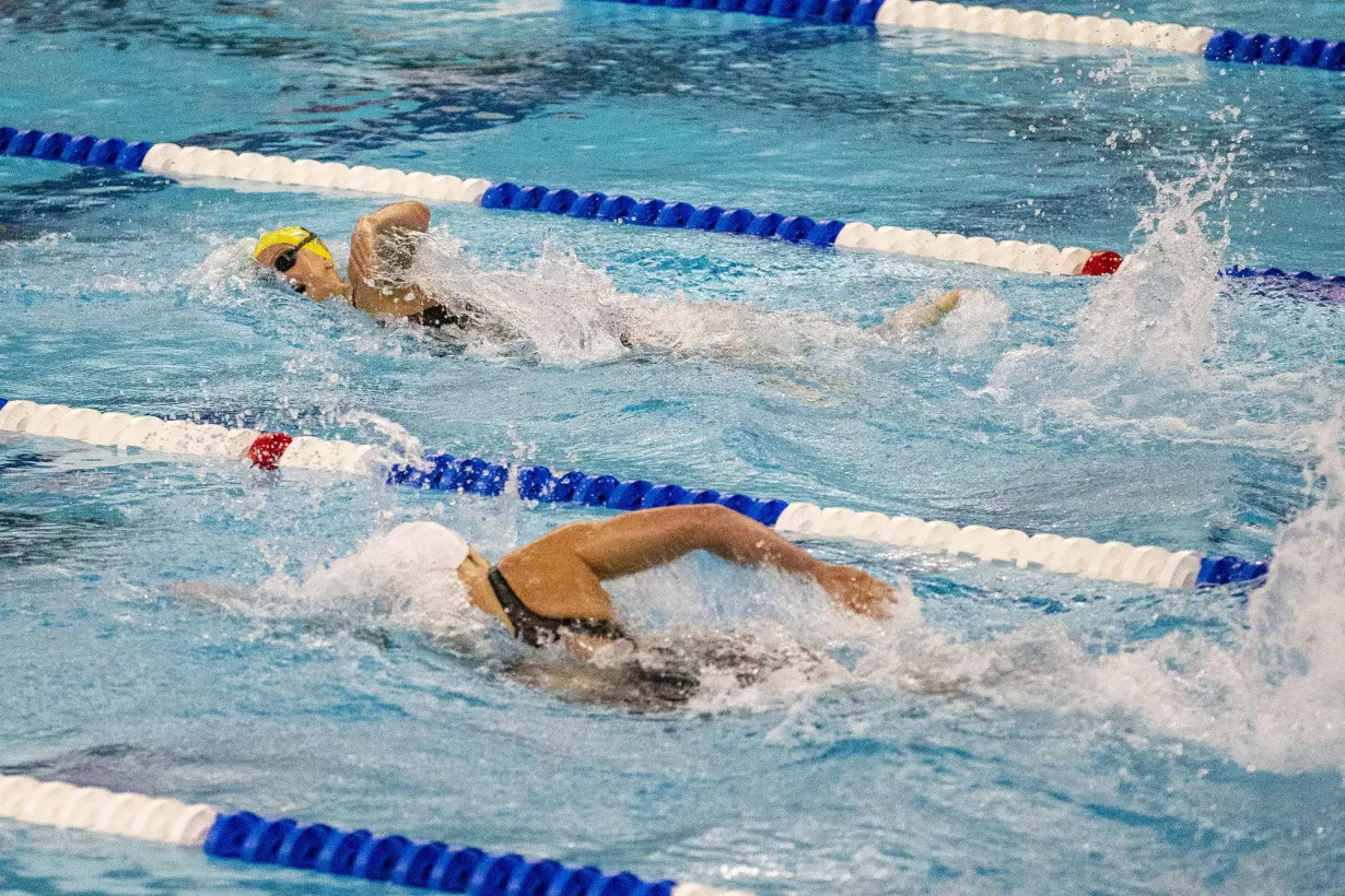 McIntosh Ledecky Loses