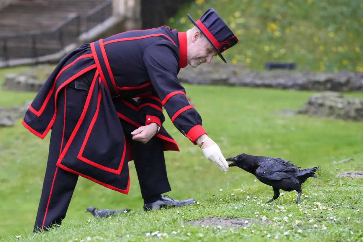 The Tower of London's new ravenmaster takes charge of the landmark's iconic flock