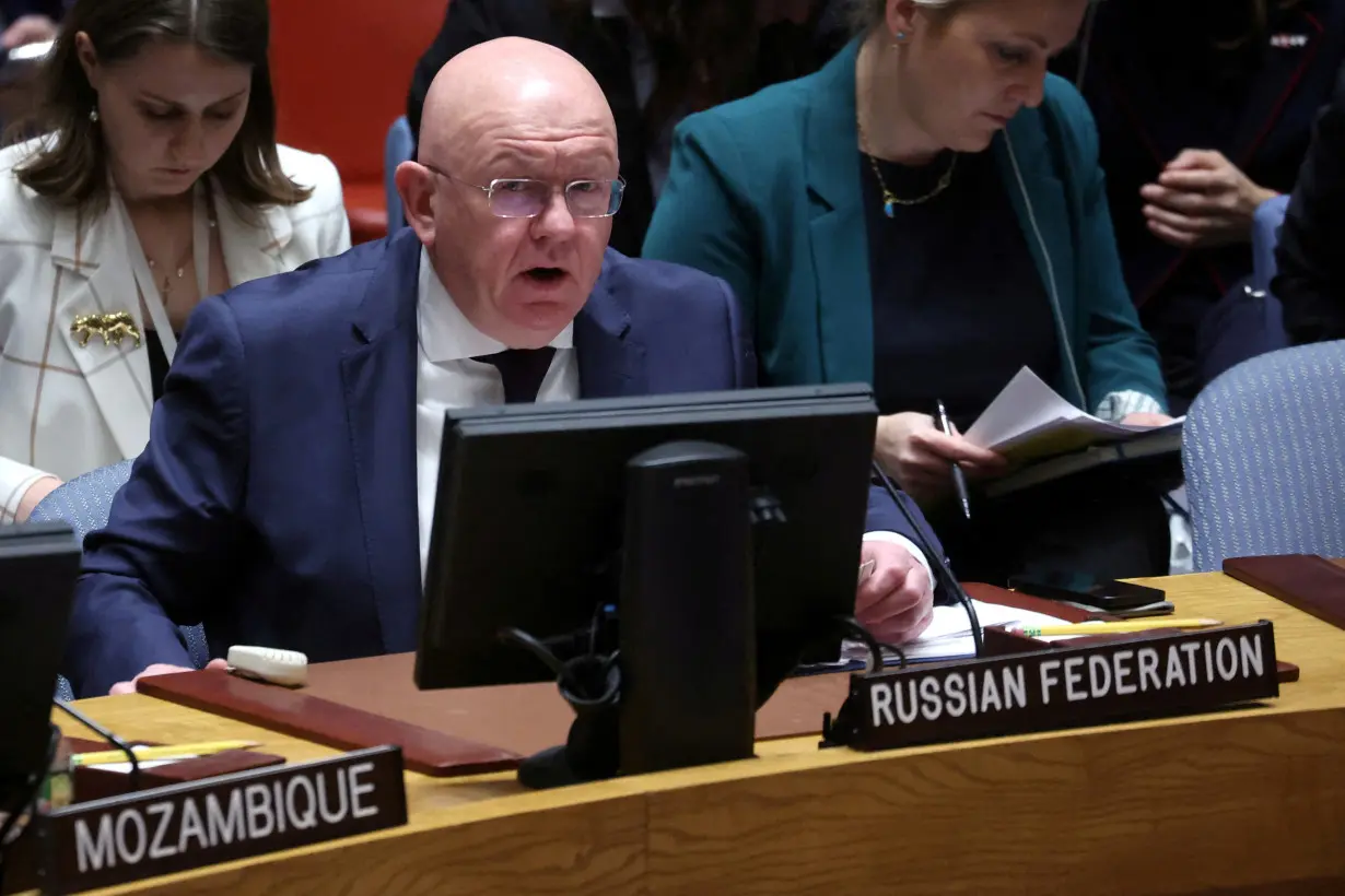 FILE PHOTO: Russian Ambassador to the U.N. Vassily Nebenzia