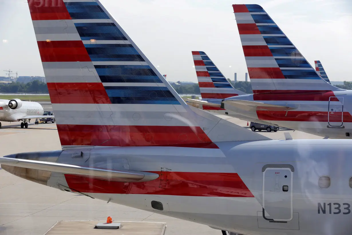 FILE PHOTO: American Airlines aircraft are parked at Ronald Reagan Washington National Airport in Washington.