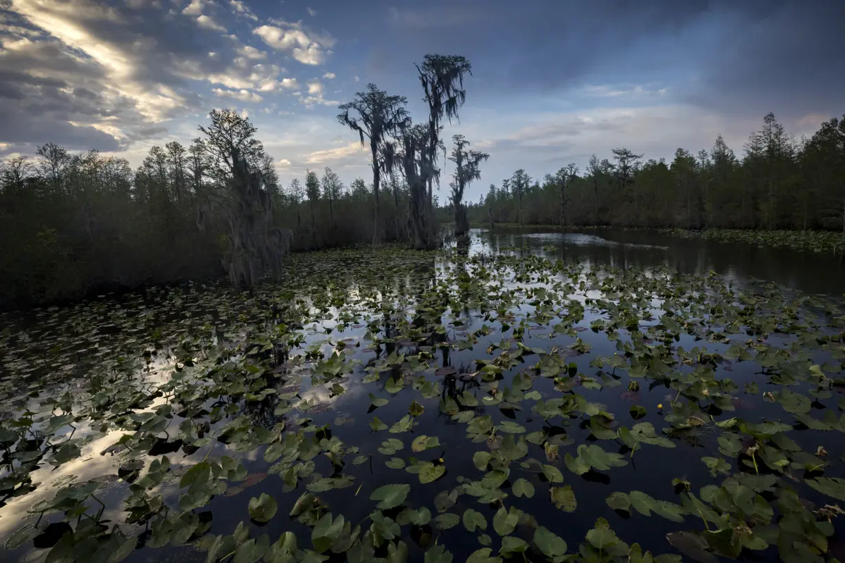 Okefenokee Mining Plan