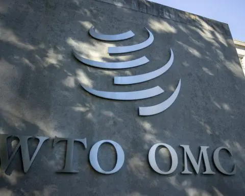 Explainer-What's at stake at the WTO's next meeting in Abu Dhabi?