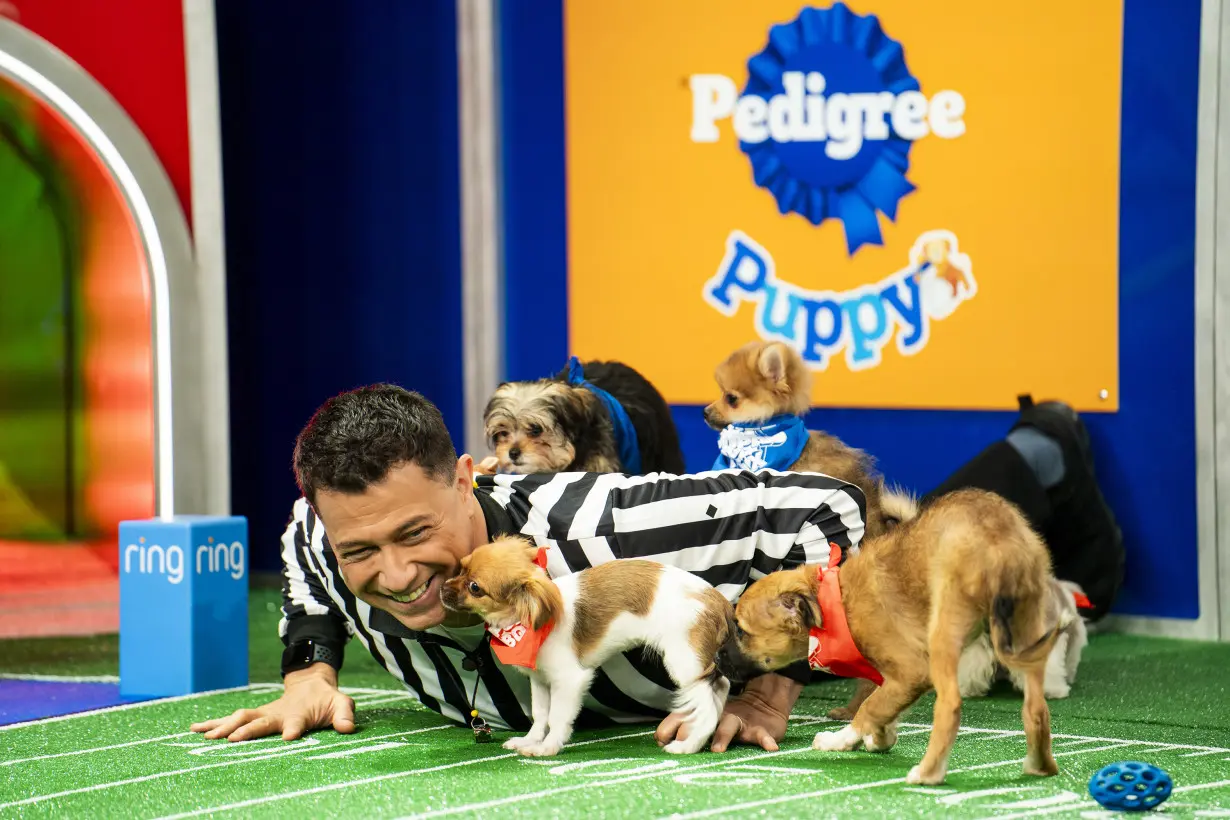 TV Puppy Bowl